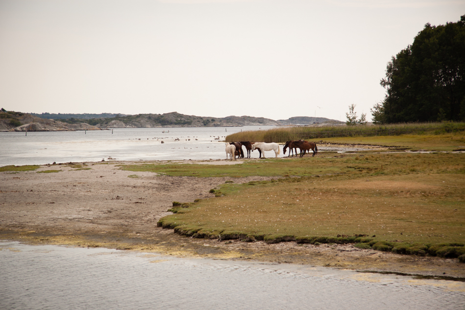 gothenburg photographer