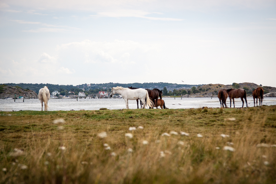 gothenburg photographer