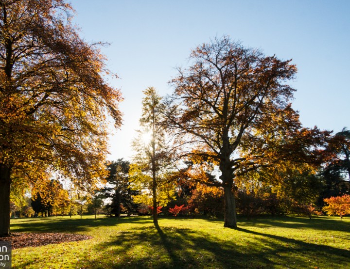 Kew Gardens, London