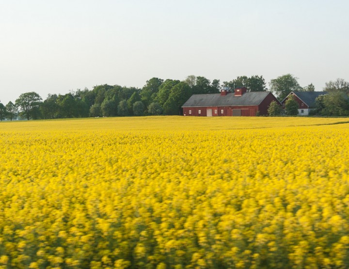 Vadstena, Sweden