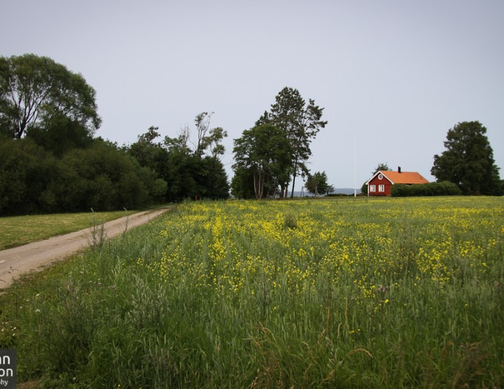 Summer in Sweden