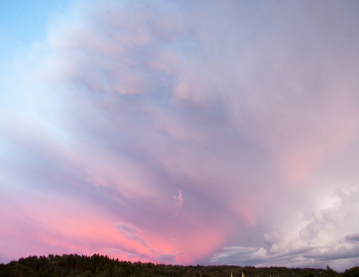 Thunderstorms and mushrooms