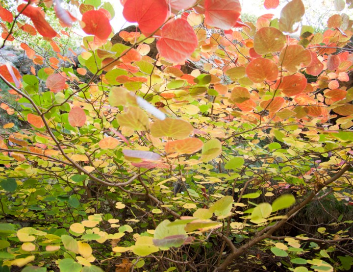 Autumn Gothenburg, Sweden