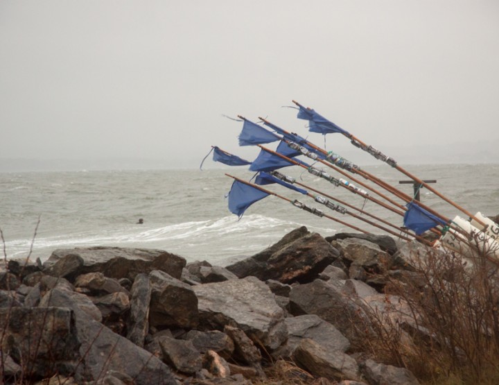 Surfing sweden