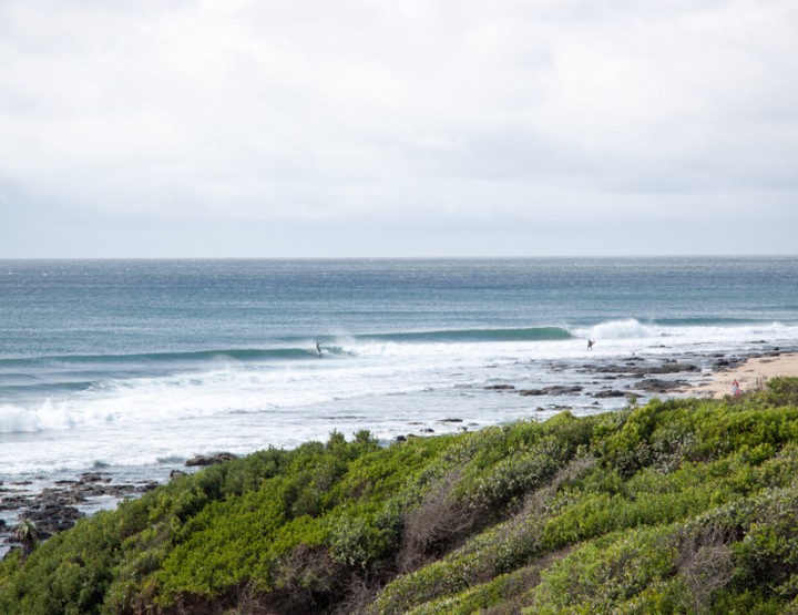 State of the surfing nation