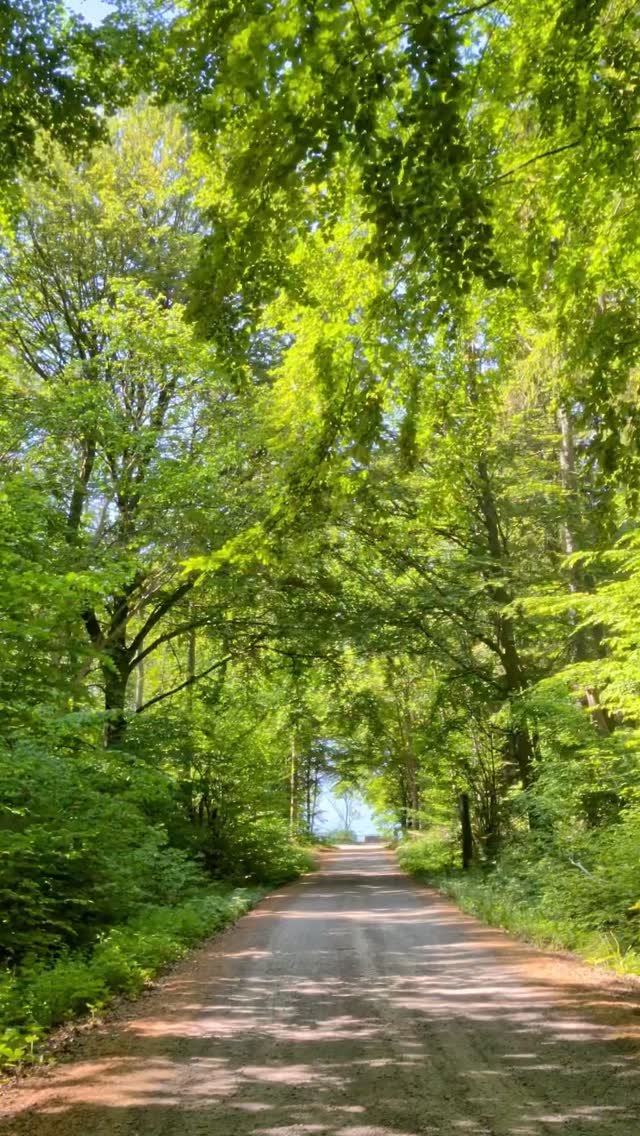 Omberg, Östergötland ❤️